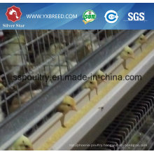 Automatic Galvanization Broiler Chicken Cage (H Type)